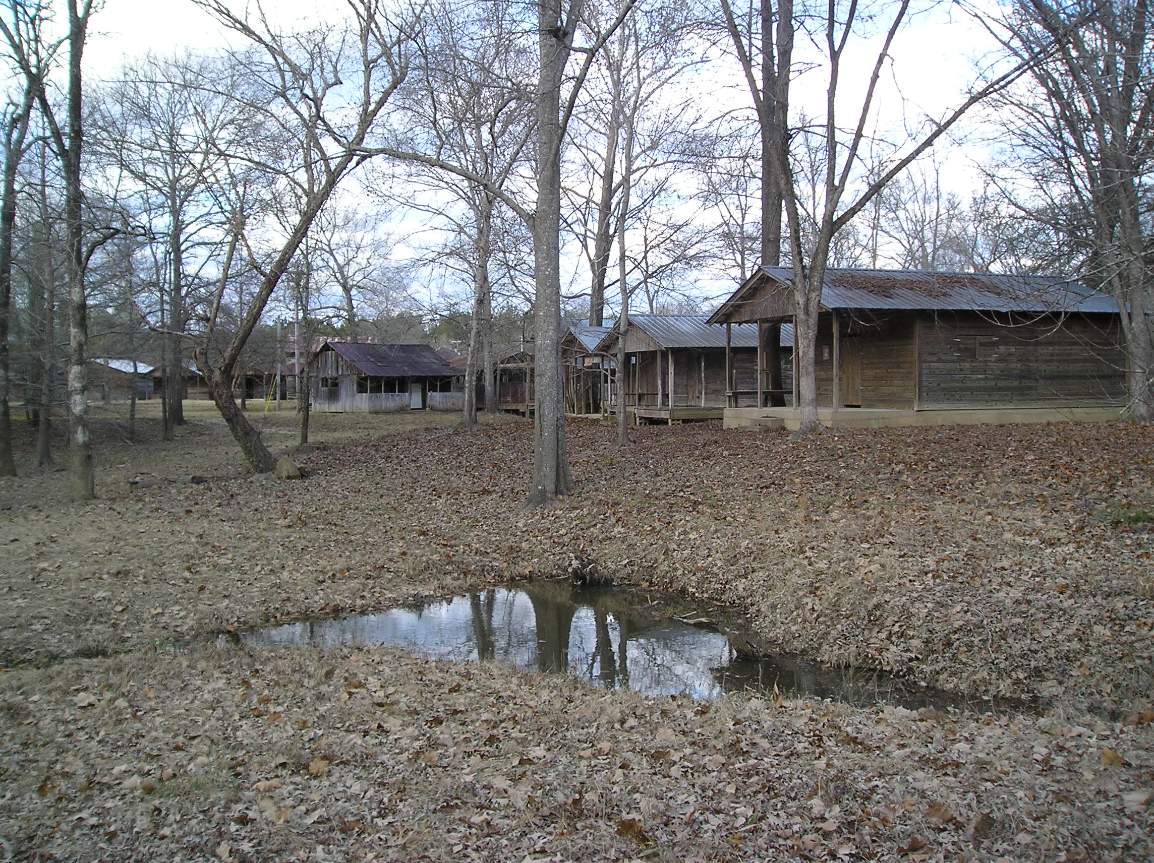 Davidson Campground in Clark County