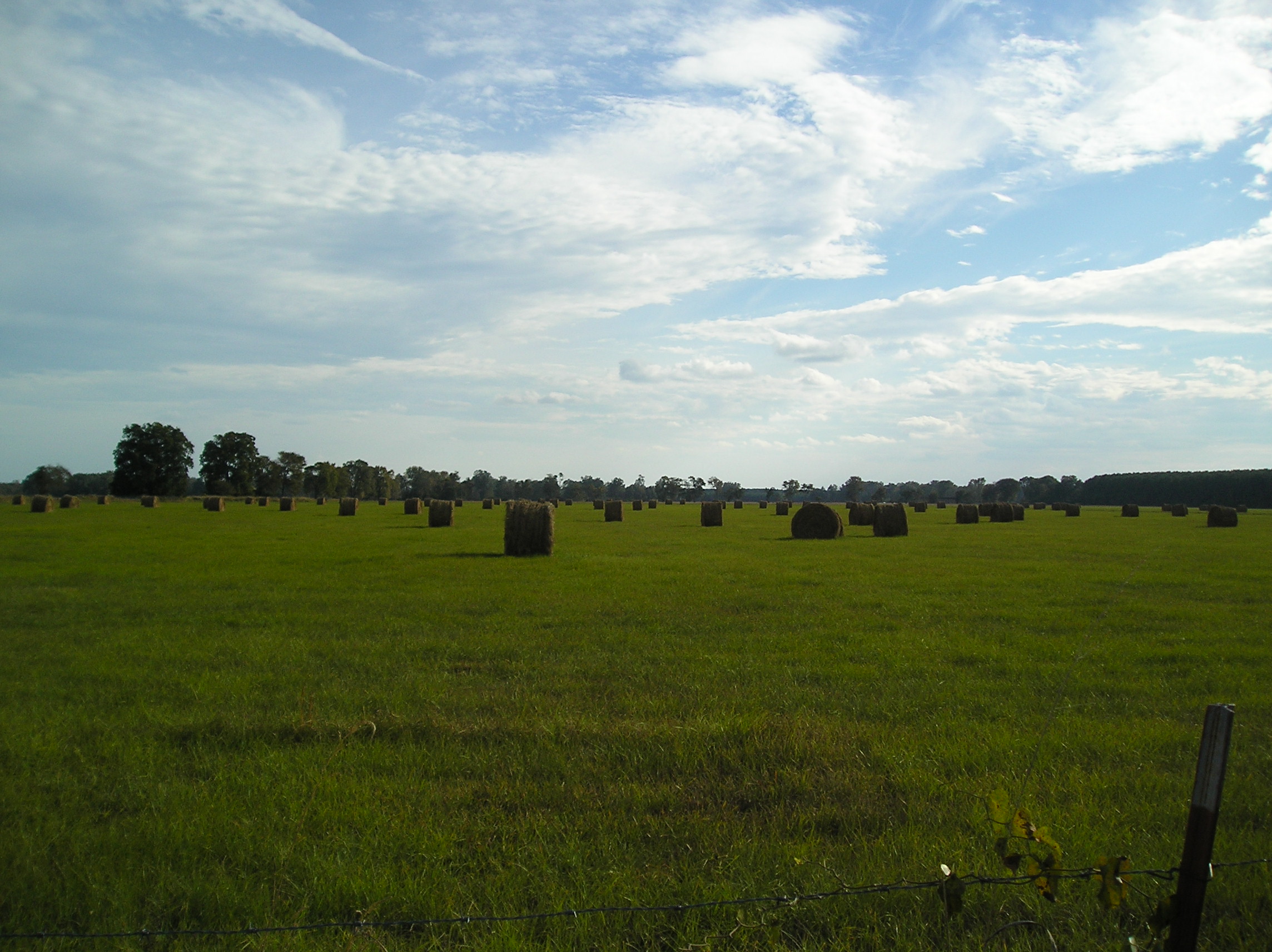Scenic Hayfields Along Washington Road