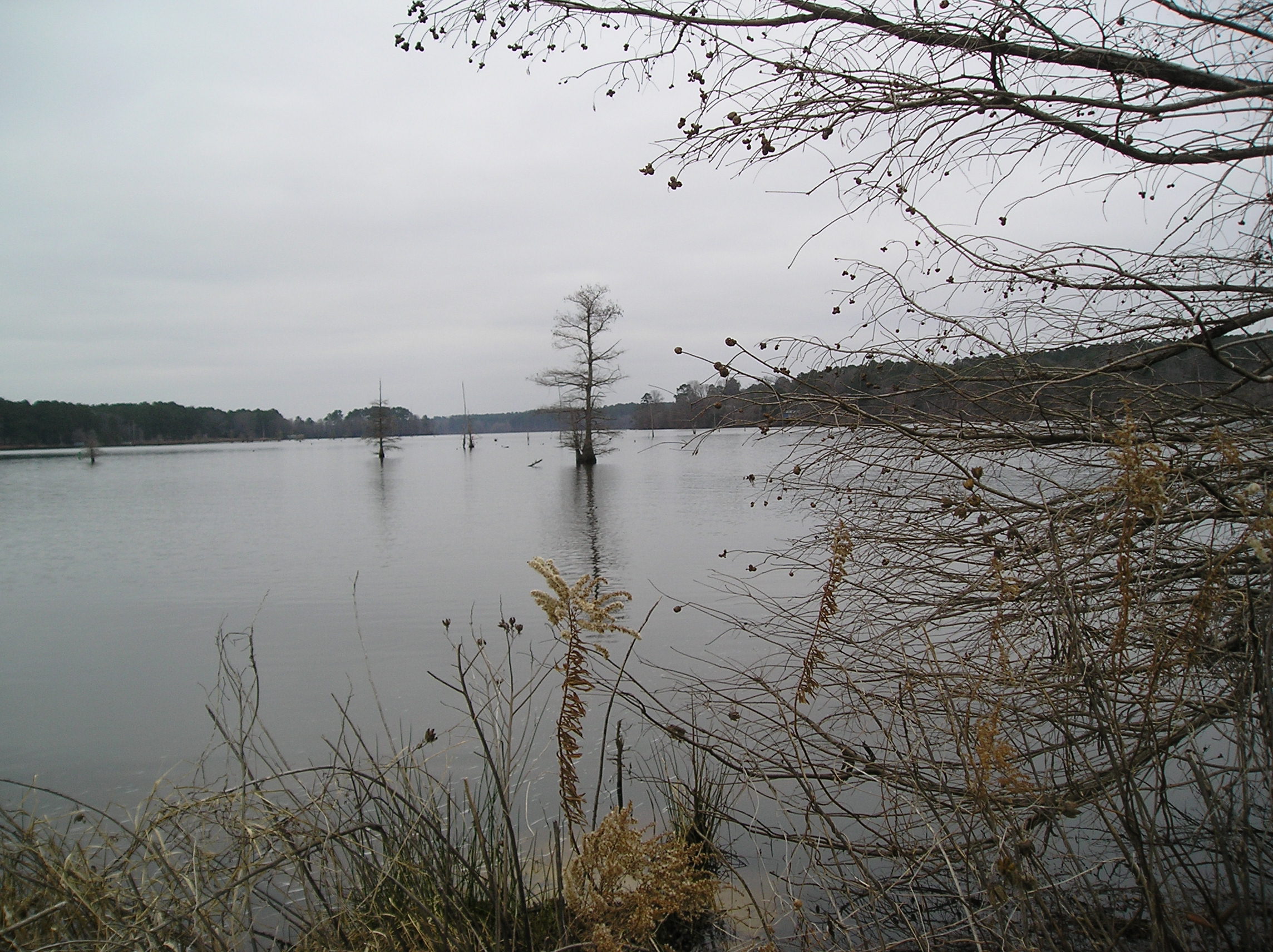 White Oak Lake from Highway 387